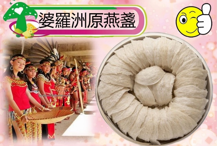 婆羅洲原燕盞 500克(13.3兩)