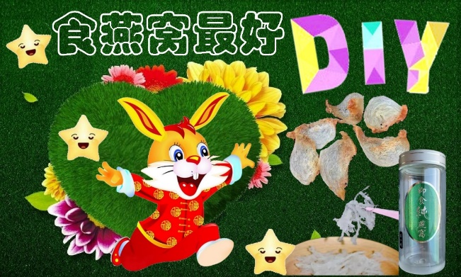 Diy樽裝燕窩